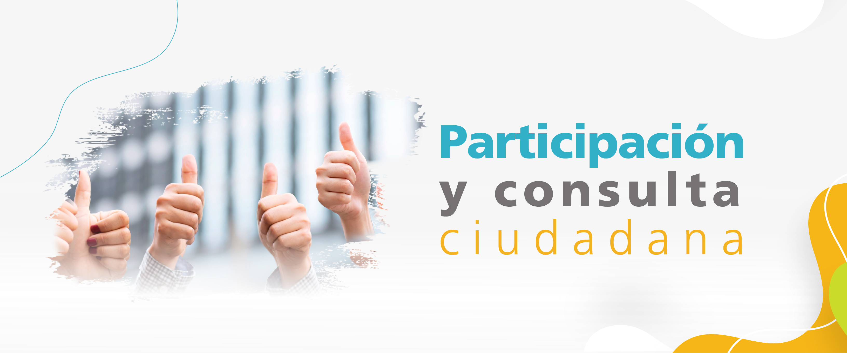 Participación ciudadana