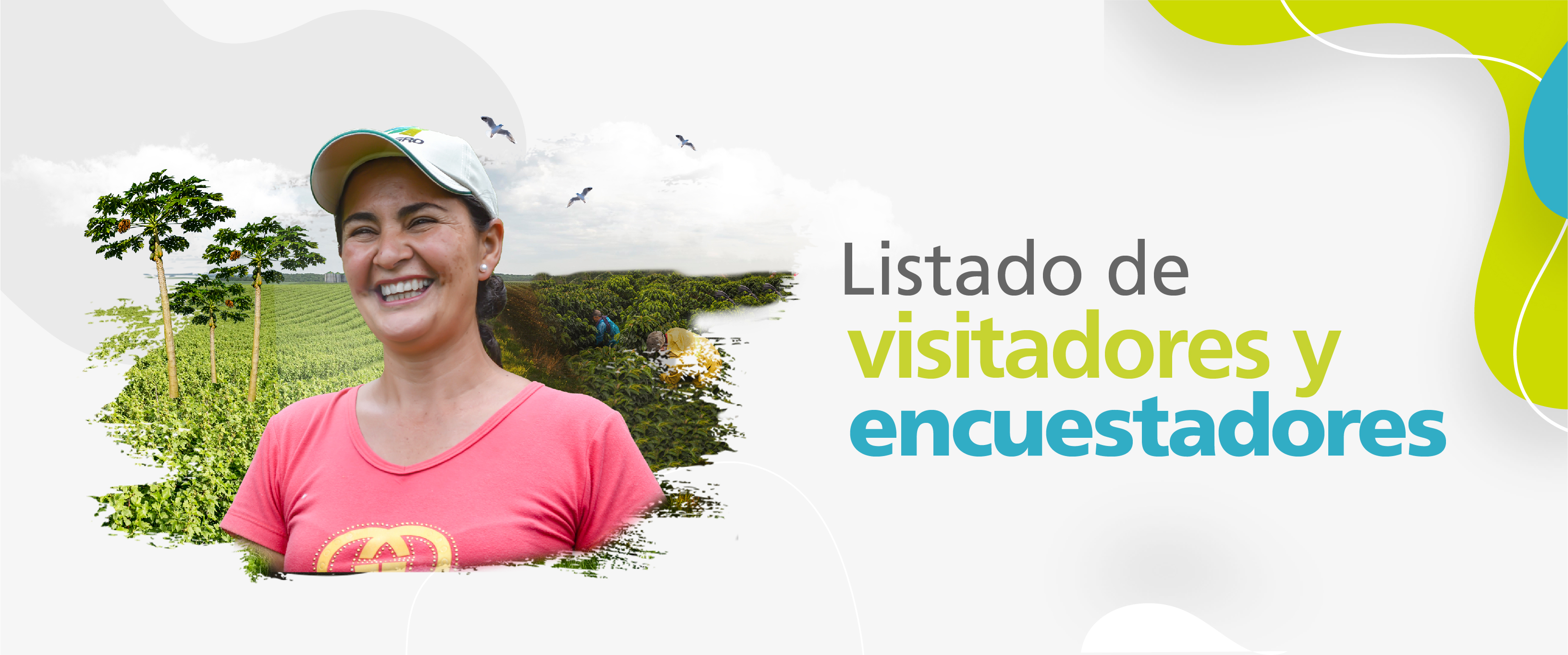 listado de visitadores y encuestadores