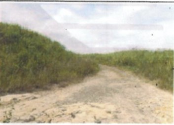 lote 40