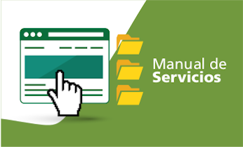 Manual de Servicios