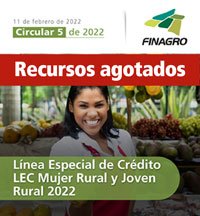 Circular 5