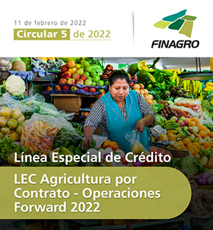 LEC Agricultura por Contrato operaciones Forward