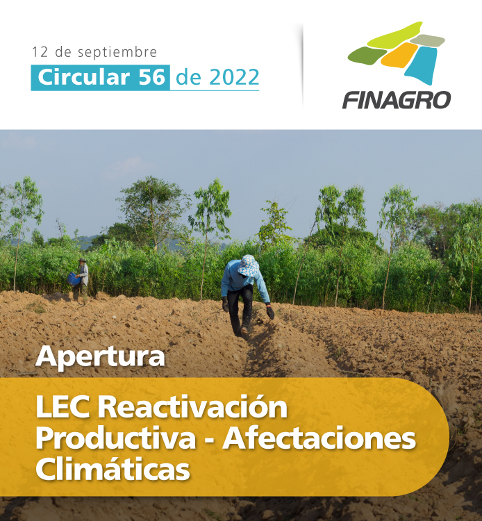 Circular 56 de 2022