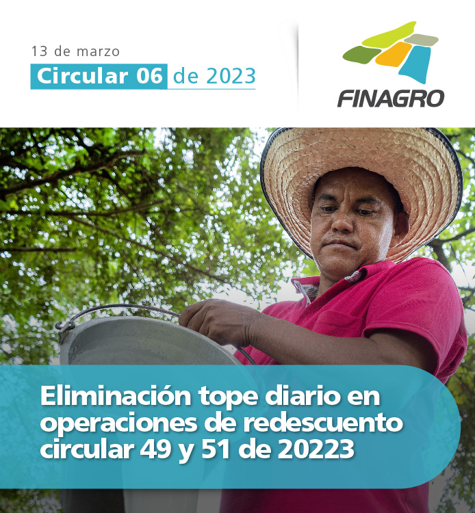 Circular 6 de 2023