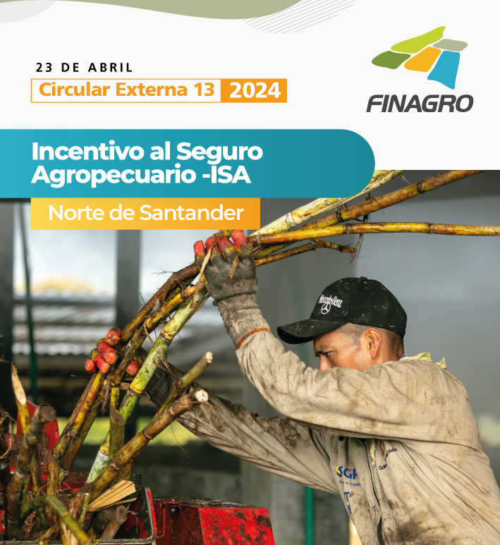 Circular Externa 13 de 2024