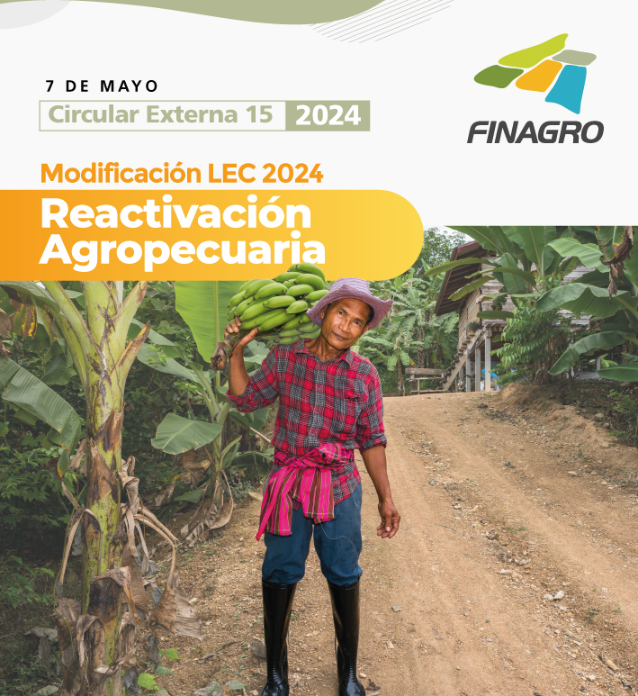 Circular Externa 15 de 2024
