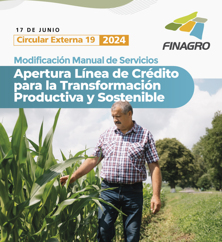 Circular Externa 19 de 2024