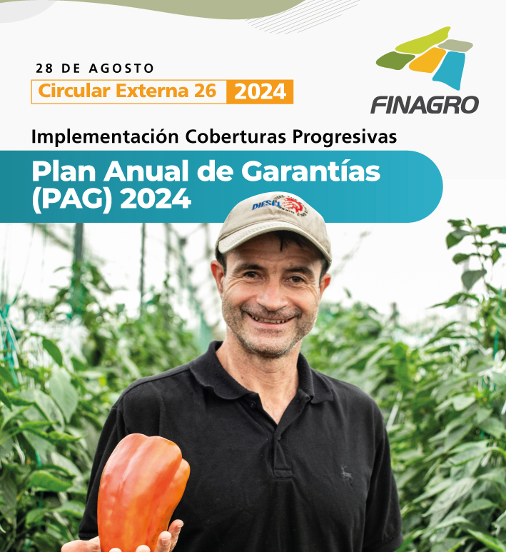 Circular Externa 26 de 2024
