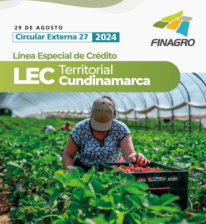 Circular Externa 27 de 2024