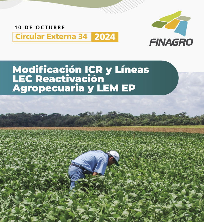 Circular Externa 34 de 2024