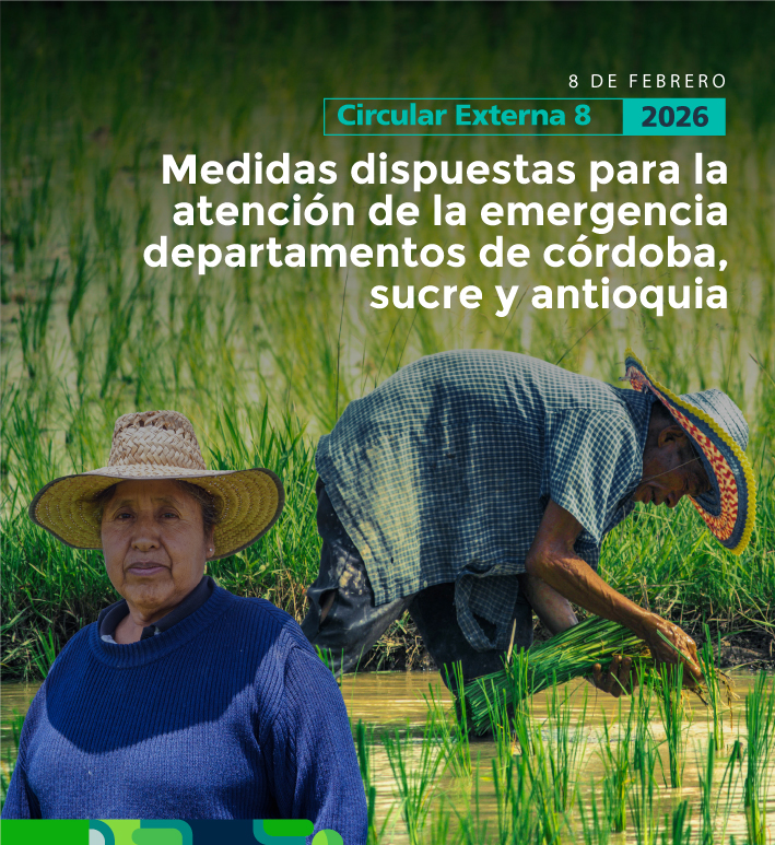 Foto de campensino recogiendo cosecha