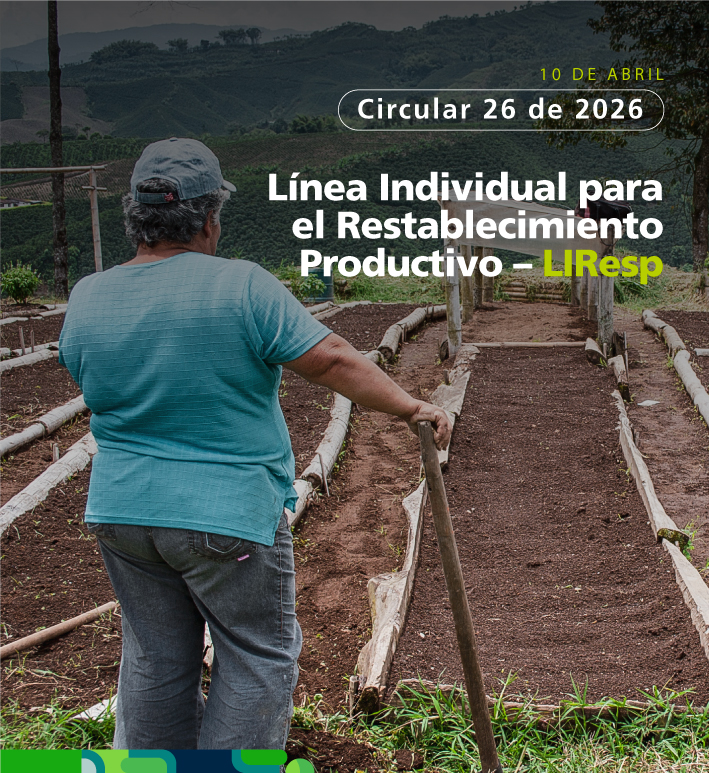 Circular Externa 26 de 2026