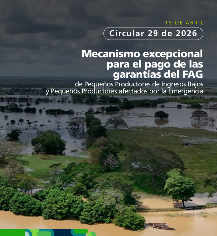 Inundación en plantaciones
