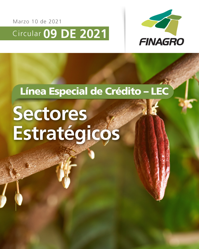 Circular 9 -Sectores estratégicos-