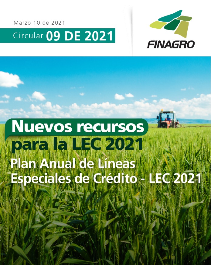 Circular reglamantaria P-09