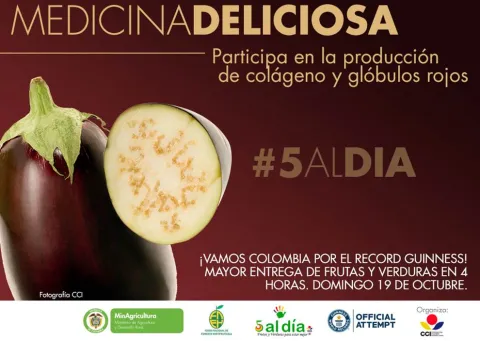 imagen14.jpg