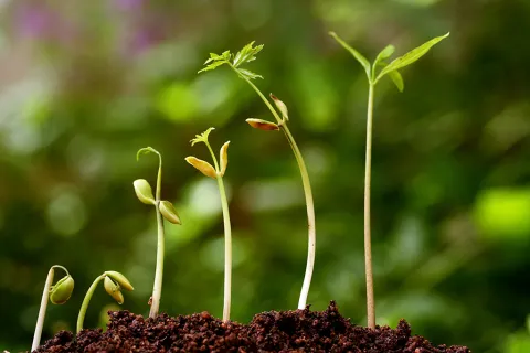 shutterstock_137677043_1.jpg