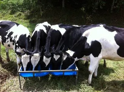 precio_milk.jpg