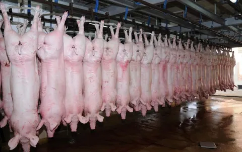 image_content_26544854_20160725184741.jpg