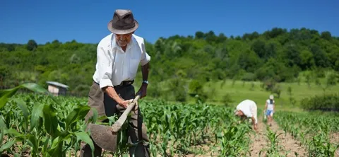 agropecuario.jpg