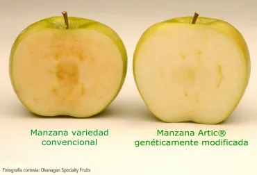 agro-bio_manzanas_gm1baja.jpg