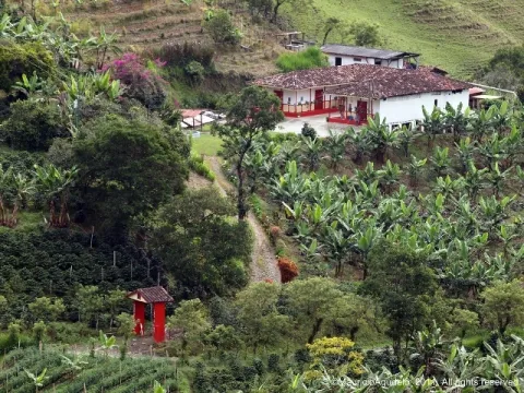 20170314135144138finca1_1.jpg
