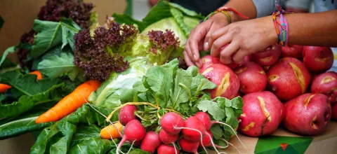 portada-hortifruticola.jpg