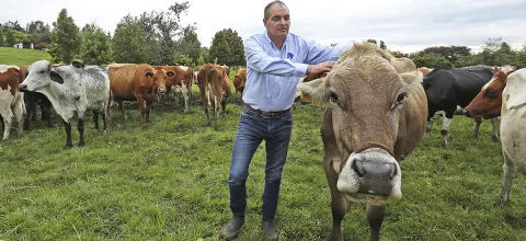 exportaciones_ganado_y_carne.jpg