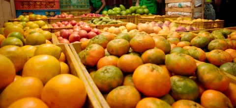 abastecimiento-tuberculos-hortalizas-frutas.jpg