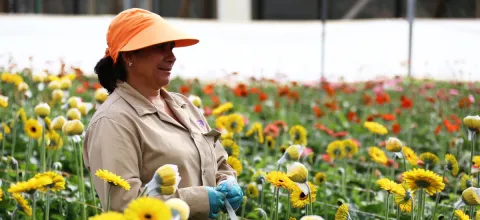 web-construyendo-capacidades-empresariales-rurales-mujeres.jpg