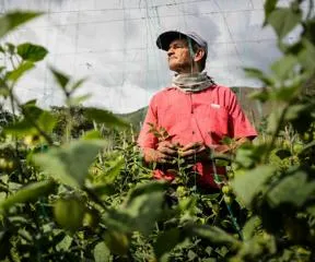 agricultores-2.jpg