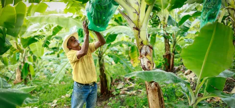 boletin-agroclimatico-0412-1200x550.jpg