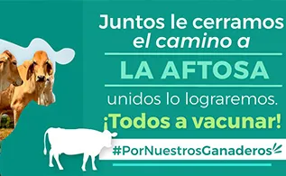 1imagen.jpg