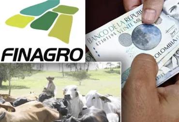 foto_inclusion_financiera_autorizada.jpg