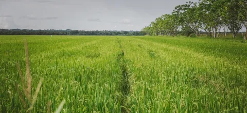 foto_boletin_marzo_web.jpg
