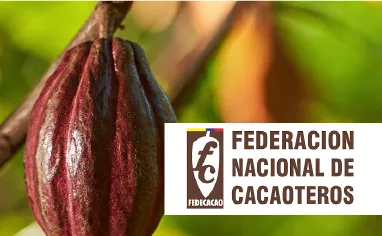 noticia-destacadohome_comunicado-cacao.jpg