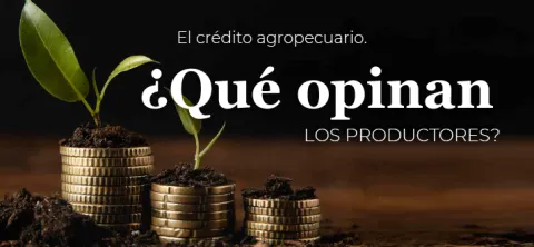 noticia-grande_sac.png 