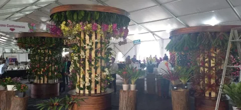 ExpoPlantas 2022, el espacio para productores de plantas ornamentales