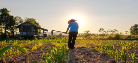 Pol�tica de financiamiento agropecuario se reorienta para darle prioridad a peque�os productores