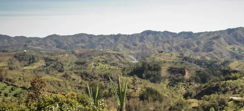 MinAgricultura recibe ofertas de venta de 1.756.000 hect�reas para la reforma agraria