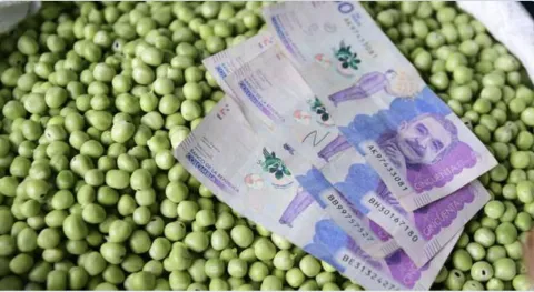 Gobierno define las l�neas de cr�dito para peque�os productores agr�colas en 2023