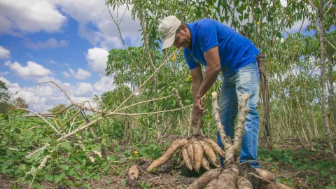 FINAGRO vincul� a nuevas cooperativas y aument� el cupo de redescuento para el IDEA 