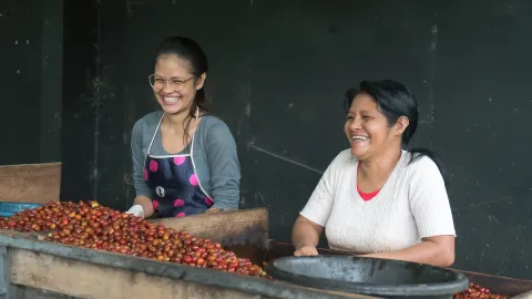 FINAGRO ha colocado m�s de $2,66 billones en cr�dito agropecuario para mujeres rurales y campesinas