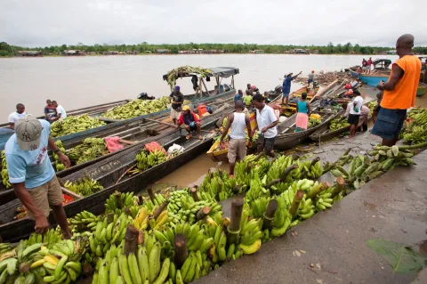 Desde que lleg� el Gobierno del Cambio se han desembolsado cr�ditos Finagro por m�s de $472.600 millones para el litoral Pac�fico