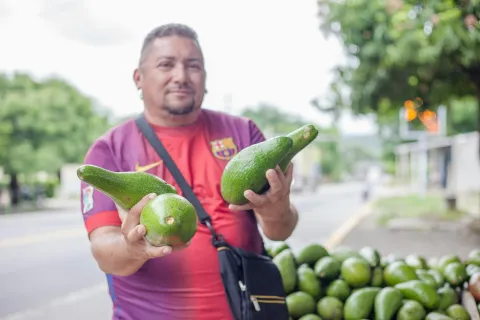 Con subsidio durante dos a�os a la tasa de inter�s para cr�ditos de hasta $4 millones, Finagro buscan erradicar el �gota a gota�