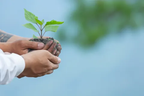 Previo a la #COP16, Finagro inform� que durante 2024 ha desembolsado cr�ditos en Sostenibilidad Clim�tica por $1,54 billones