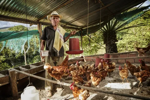 Productores agropecuarios, campesinas y campesinos accedieron a m�s de $12,9 billones en cr�ditos respaldados por el Fondo Agropecuario de Garant�as (FAG)
