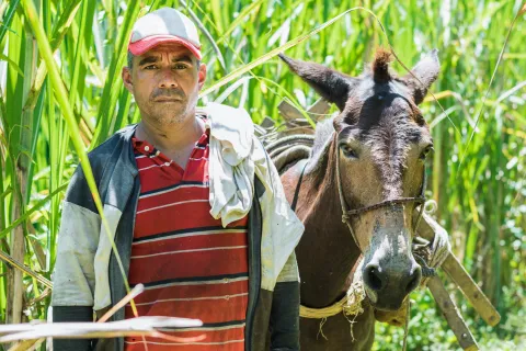 Finagro reafirma su apuesta por la asociatividad tras desembolsar m�s de $6,06 billones en cr�dito colectivo