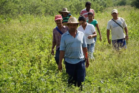 El Fondo Agropecuario de Garant�as ha respaldado inversiones en proyectos agropecuarios por $25 billones durante el Gobierno del presidente Gustavo Petro