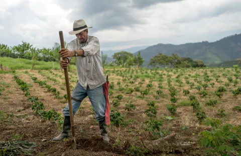 MinAgricultura habilitar�?$67.272 millones en subsidios para?que?campesinos y campesinas?adquieran?un?seguro agropecuario ante los riesgos del Fen�meno de?�El Ni�o�